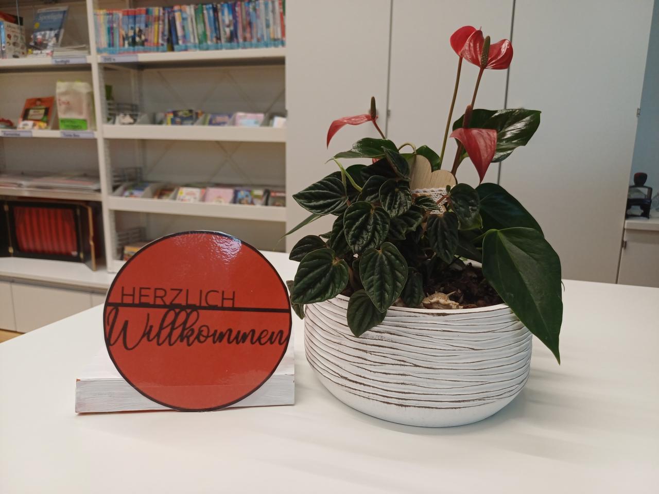 Willkommen